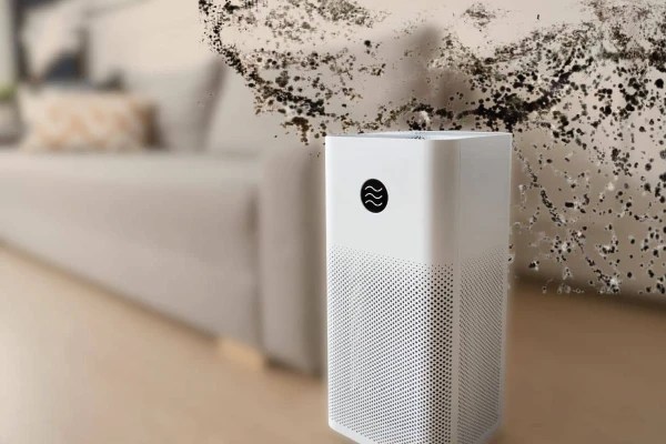 Mold Humidity