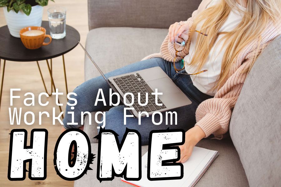 Working From Home