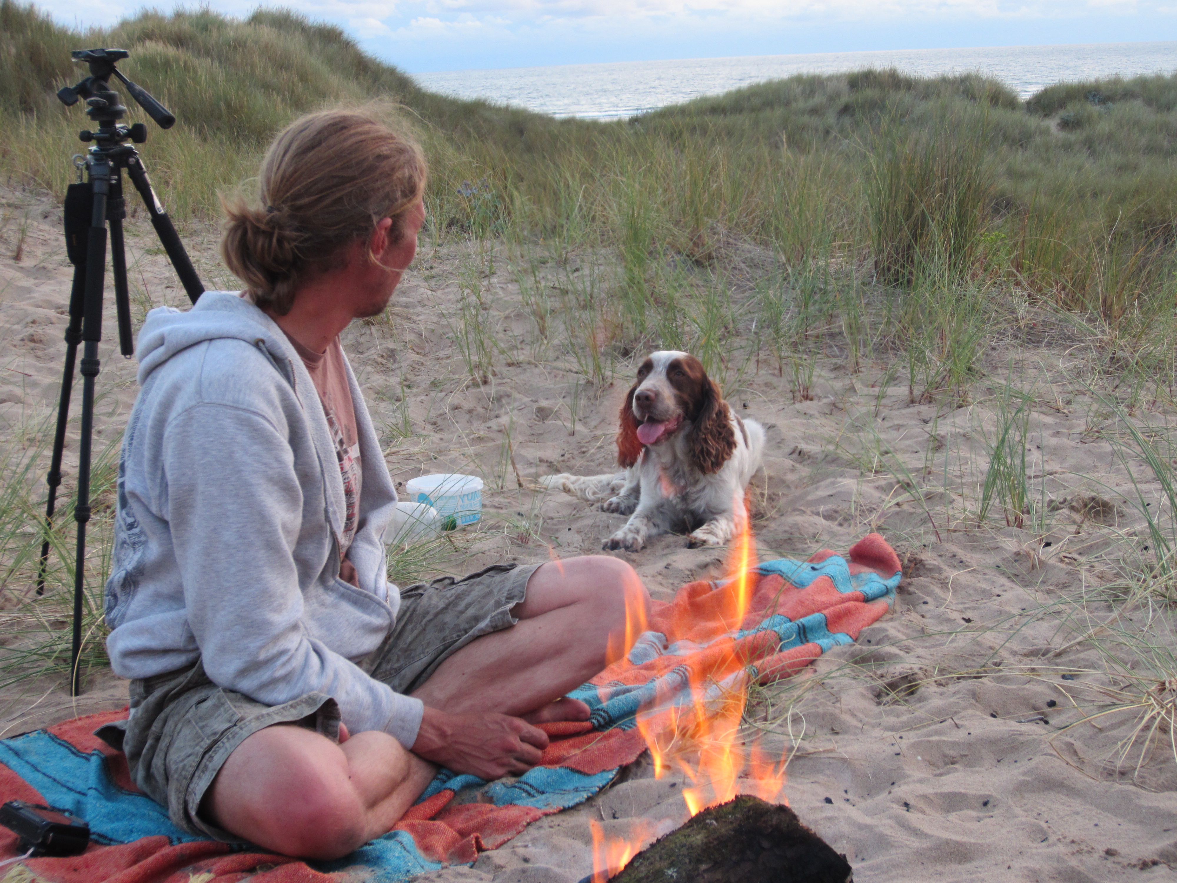 Best dog in Wales -fact