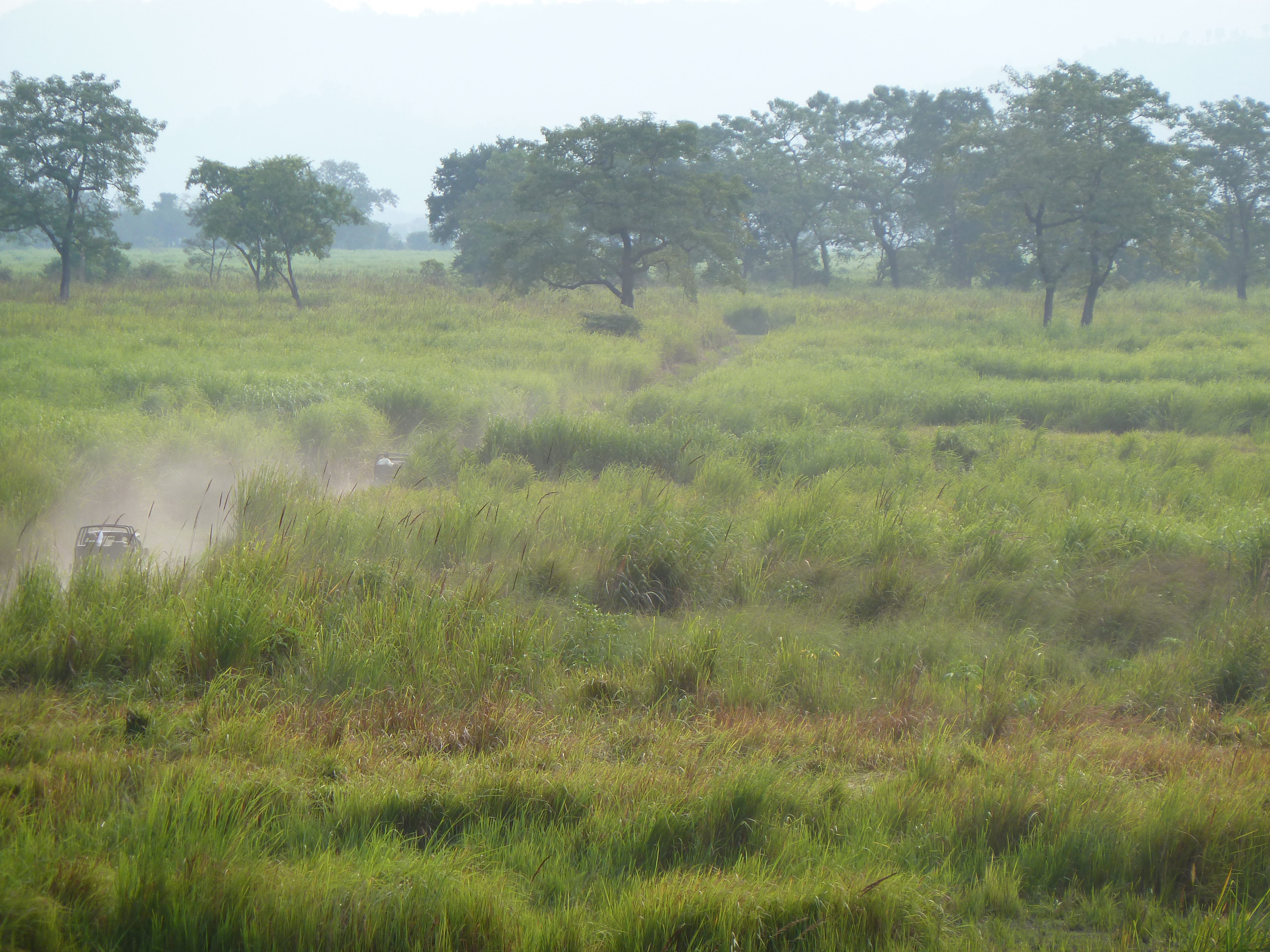 Le "safari" en jeep