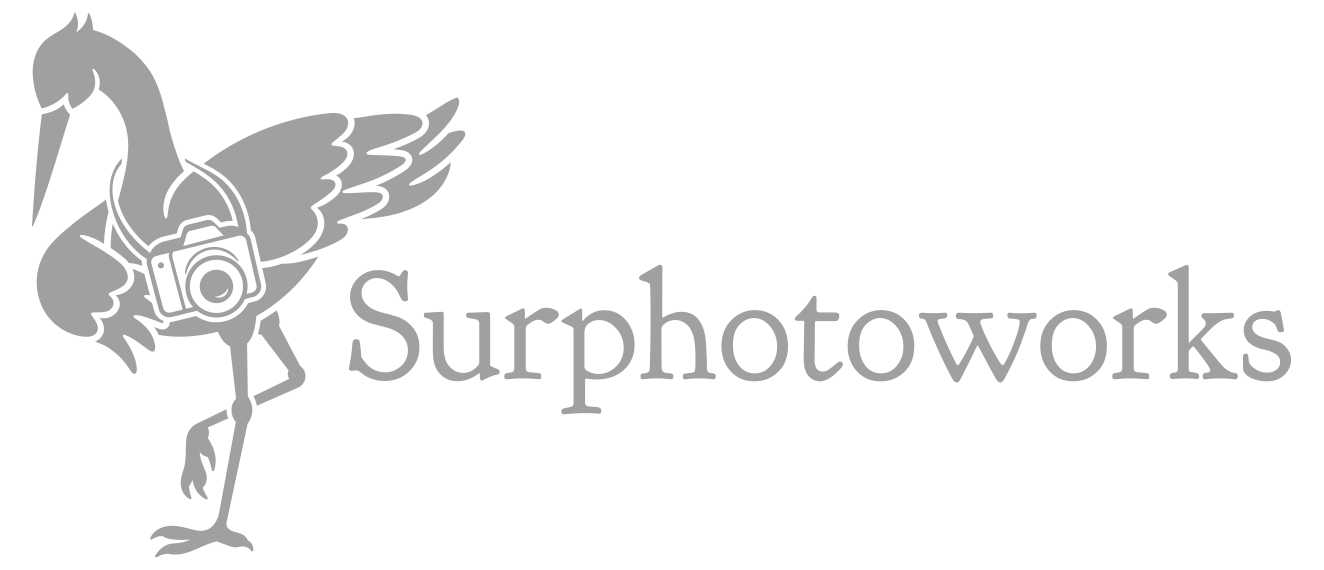 写真のデジタルデータの管理方法について