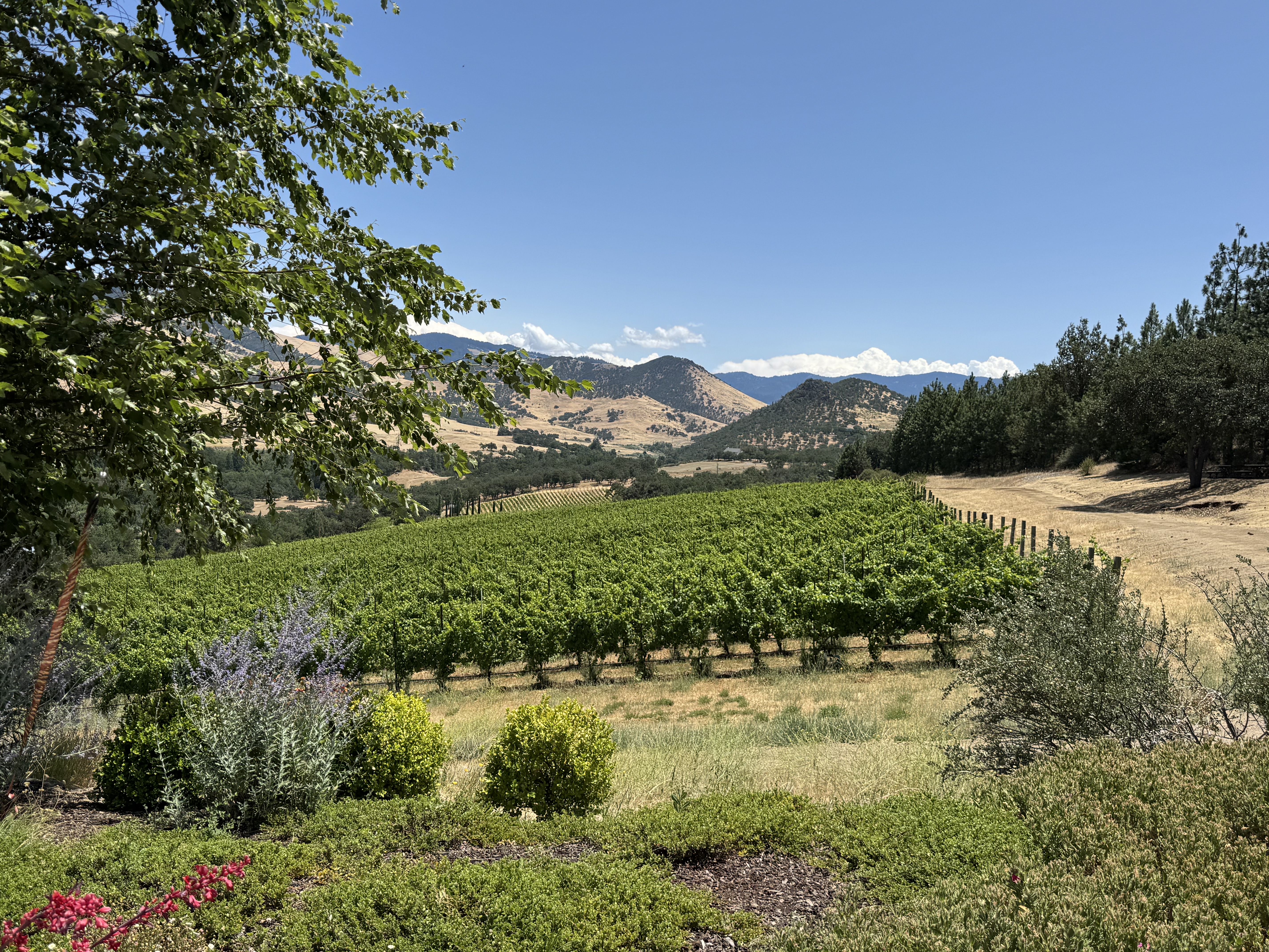 Exploring Wine Country in Ashland, Oregon | Surreyfarms. A serene