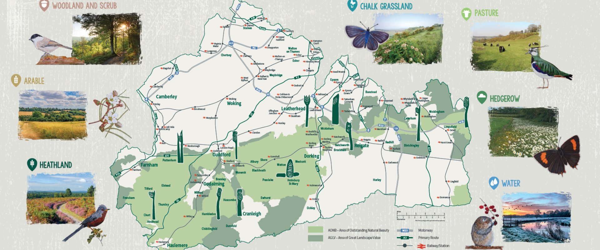 Planning Surrey Hills National Landscape NL Map 