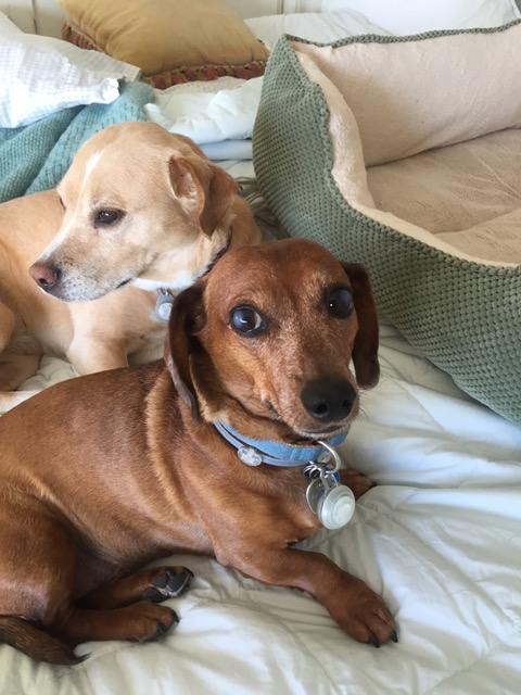 kaylerleahgraceLOCdec2113