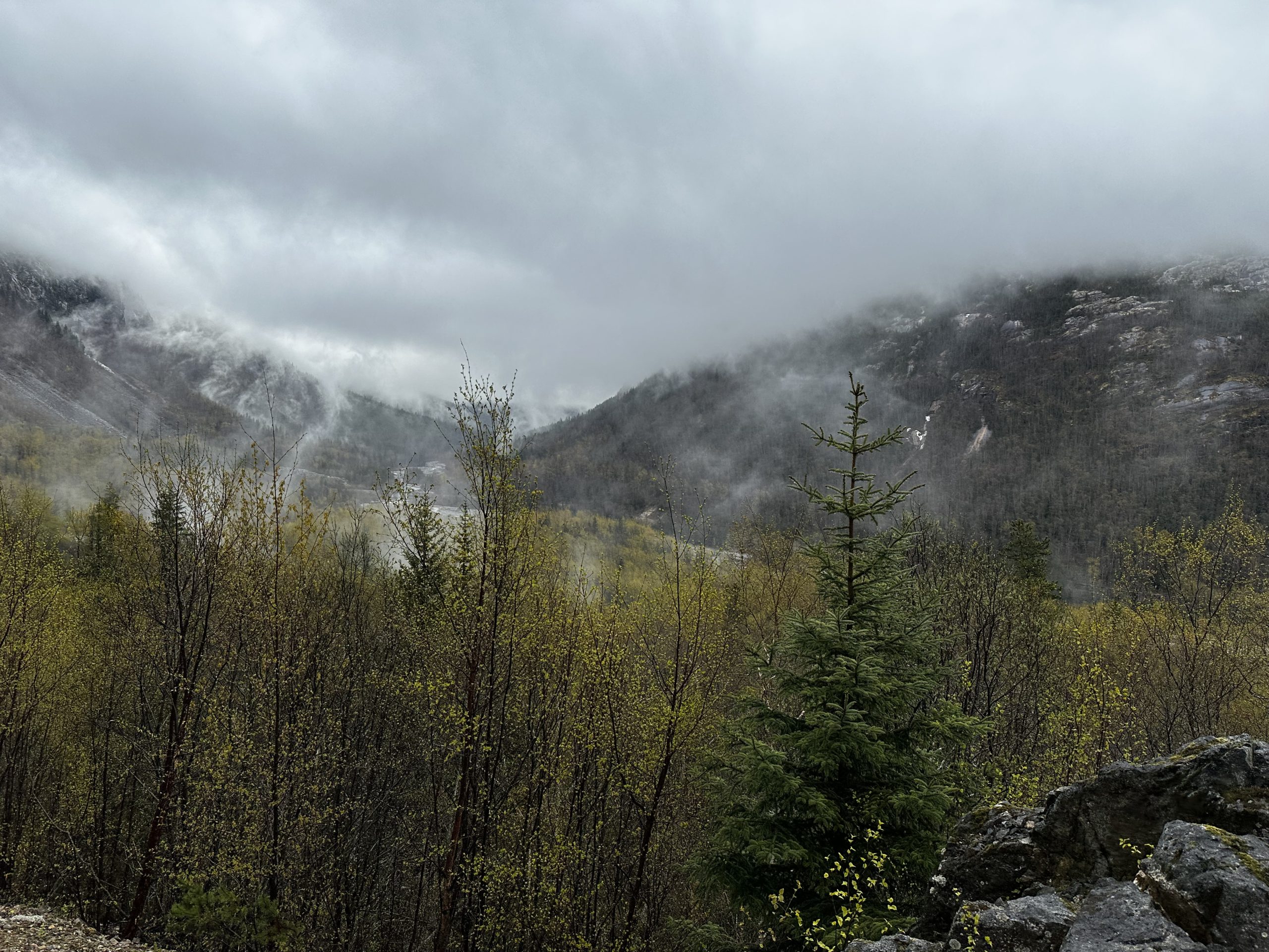 Alaska