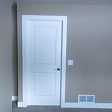 2-panel room door
