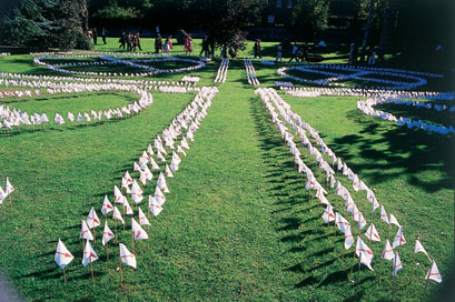 Site-specific installation commissioned by The Parks Section,St Edmonsbury Borough Council for the Abbey Gardens to coincide with Art Textiles 3 exhibition in Bury St Edmunds Art Gallery. 2004