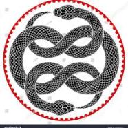 2025 Taurus New Moon begins Snake Lunar Month
