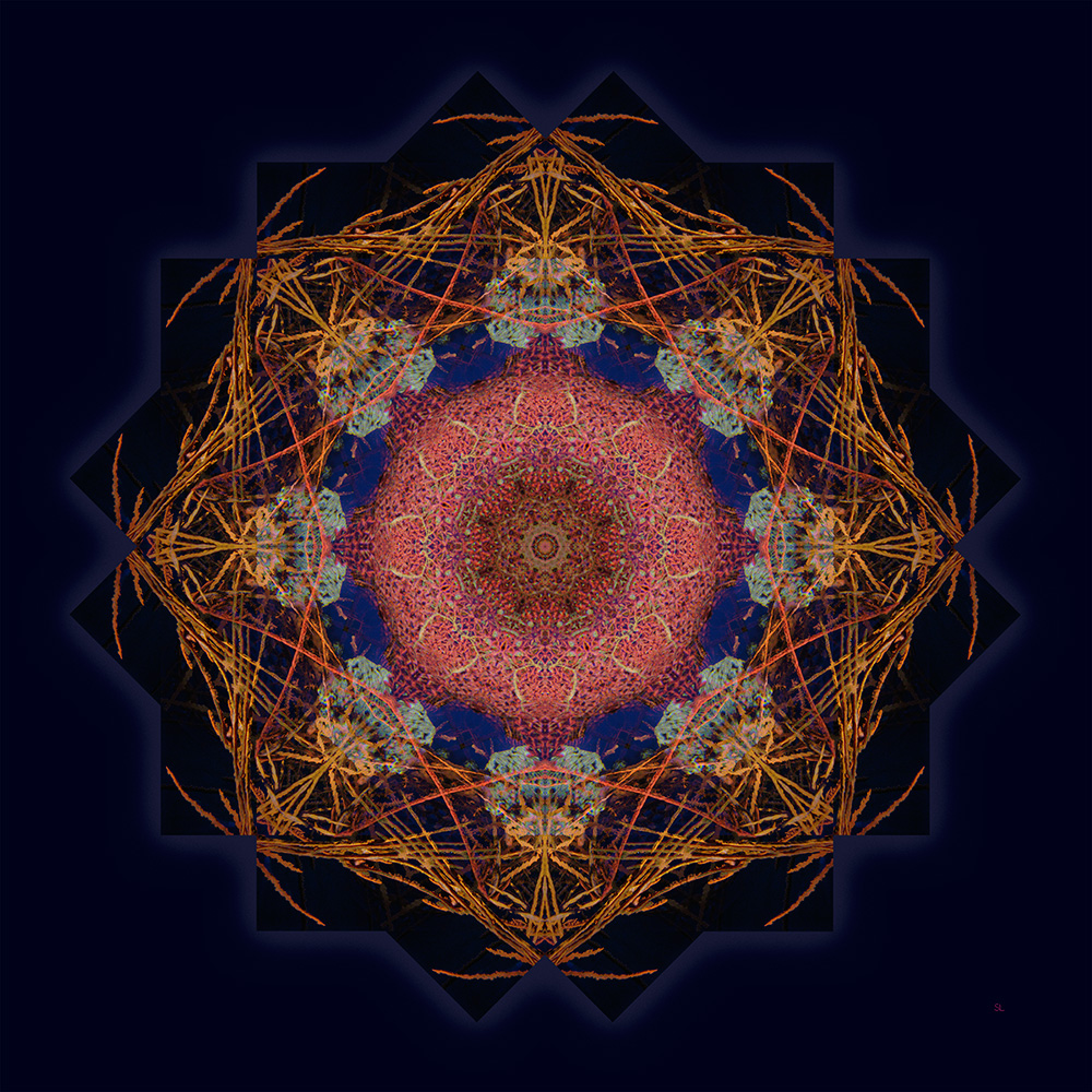 Deep reef mandala