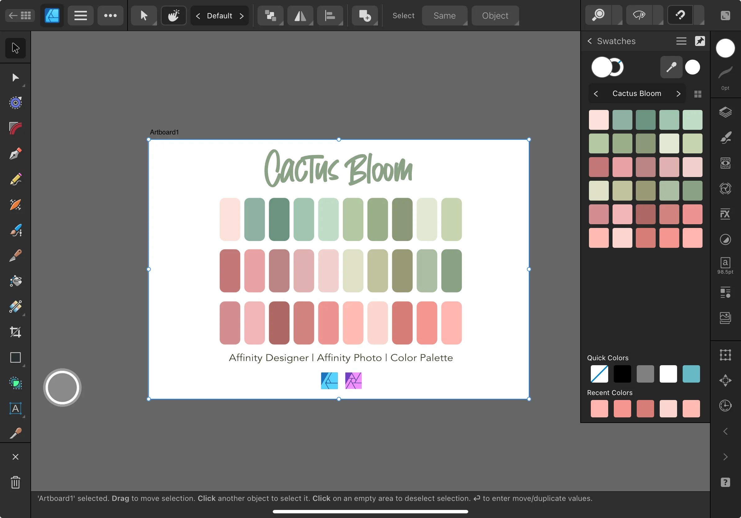 Affinity Designer Color Palette Bundle | Cactus Bloom | Color Swatches | Instant Download | Digital Color | Affinity Photo | 30 Colors