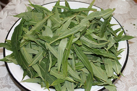 ферментация иван-чая замораживанием