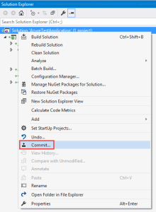Commit the newly created project