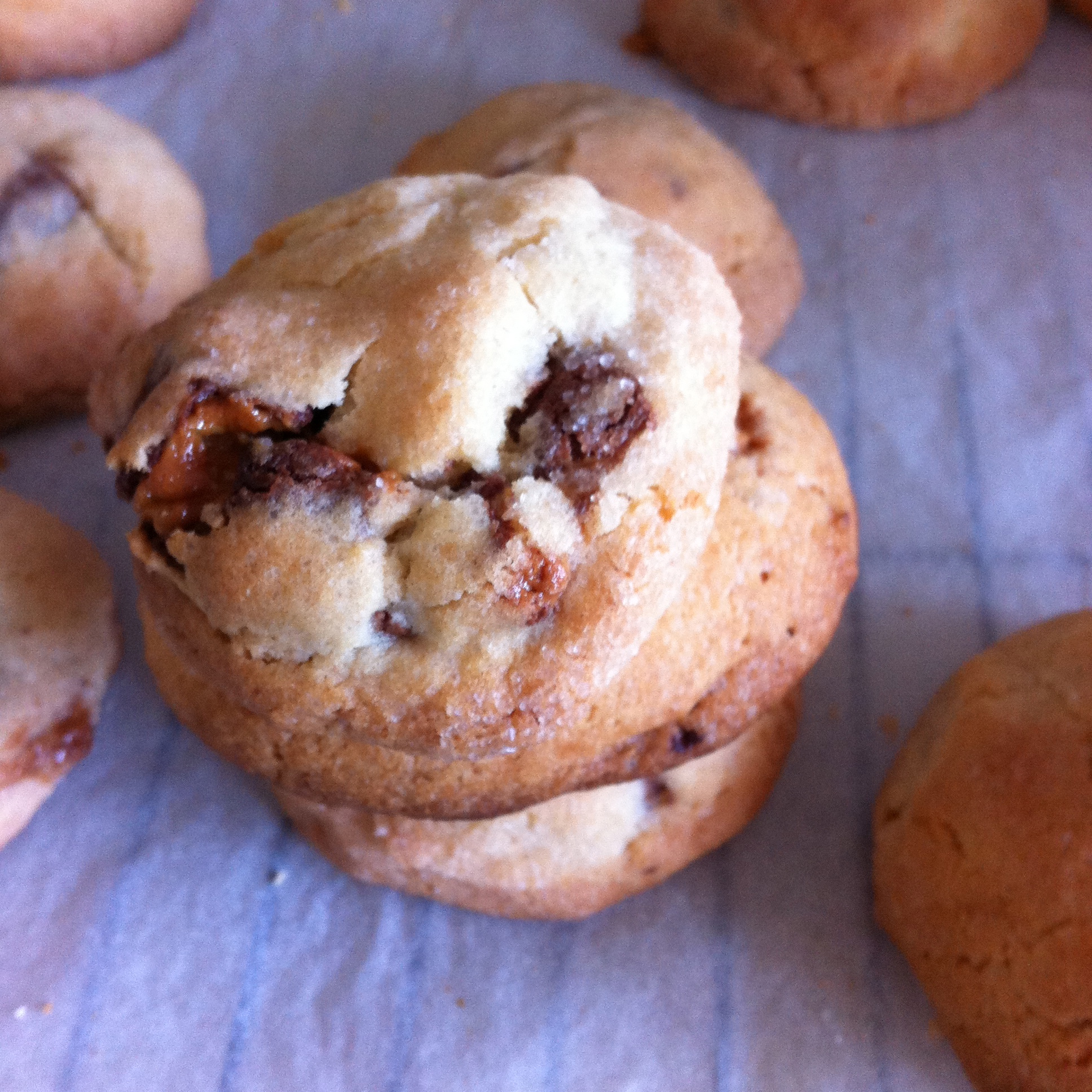 Snickerdoodles
