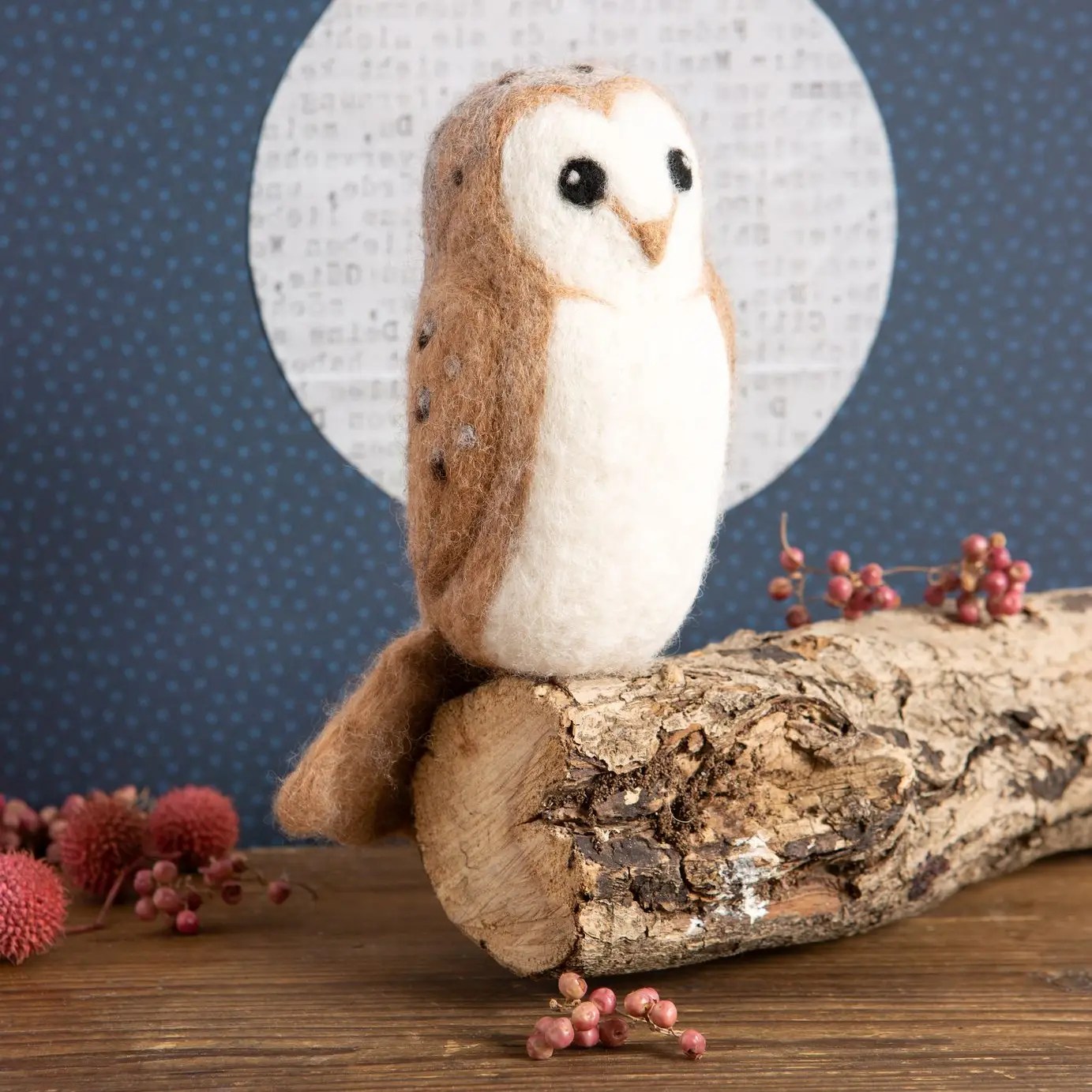 Barn Owl Needle Felting Kit | Complete Craft Kit