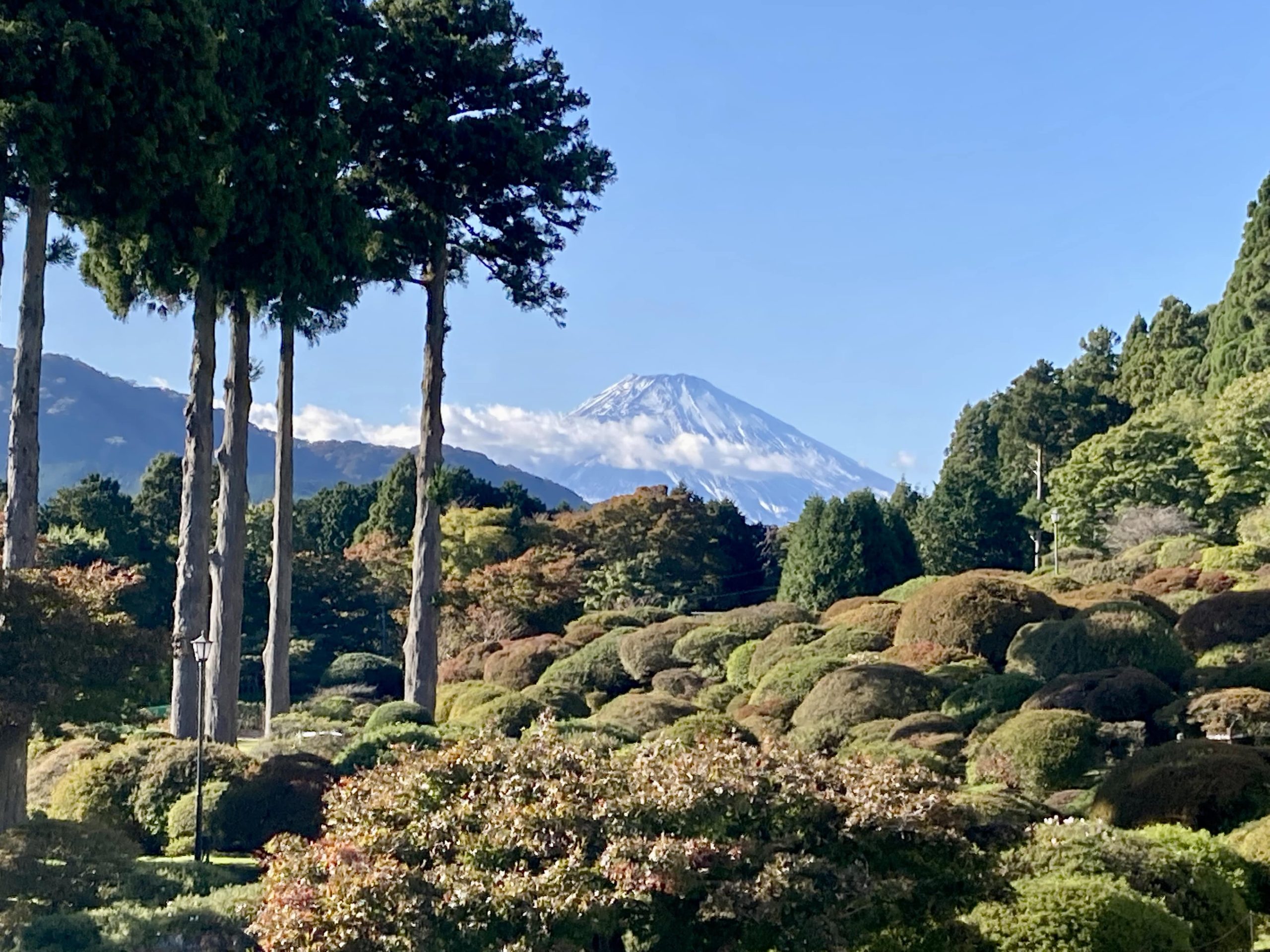 私のおすすめホテル　箱根　山のホテル①