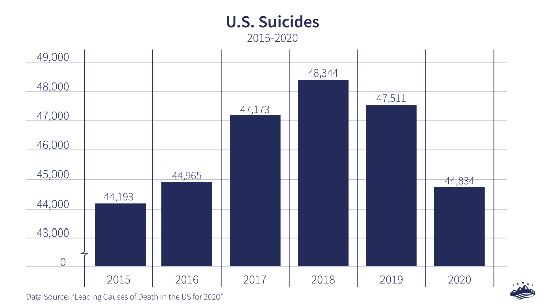 Suicides in U.S. decrease despite pandemic why?-01-01 Suicides in U.S. decrease despite pandemic why?