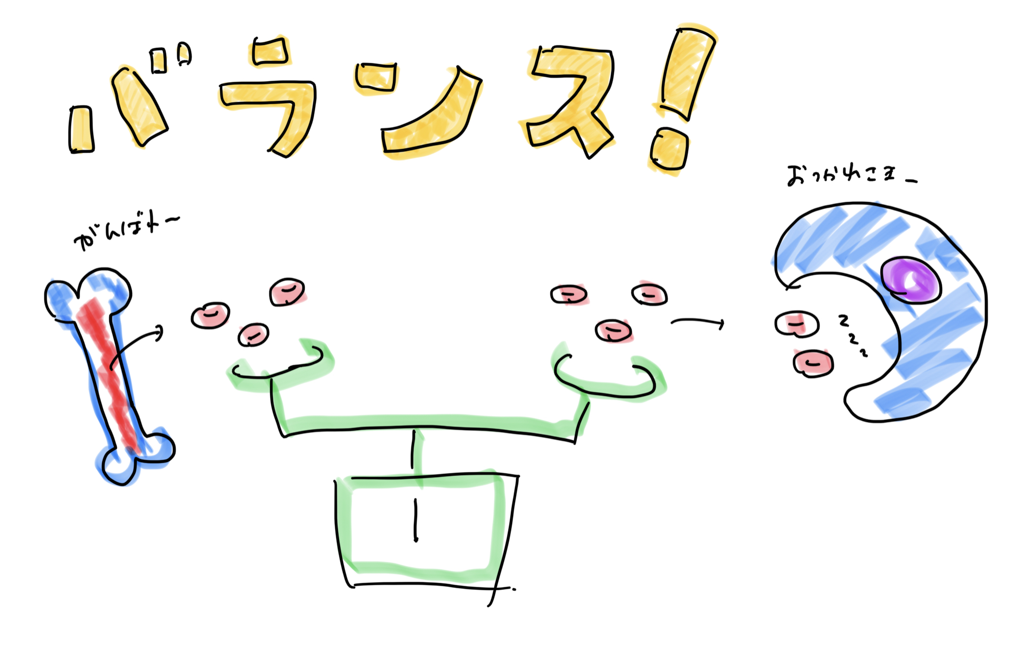 犬や猫の貧血について  すわ動物病院