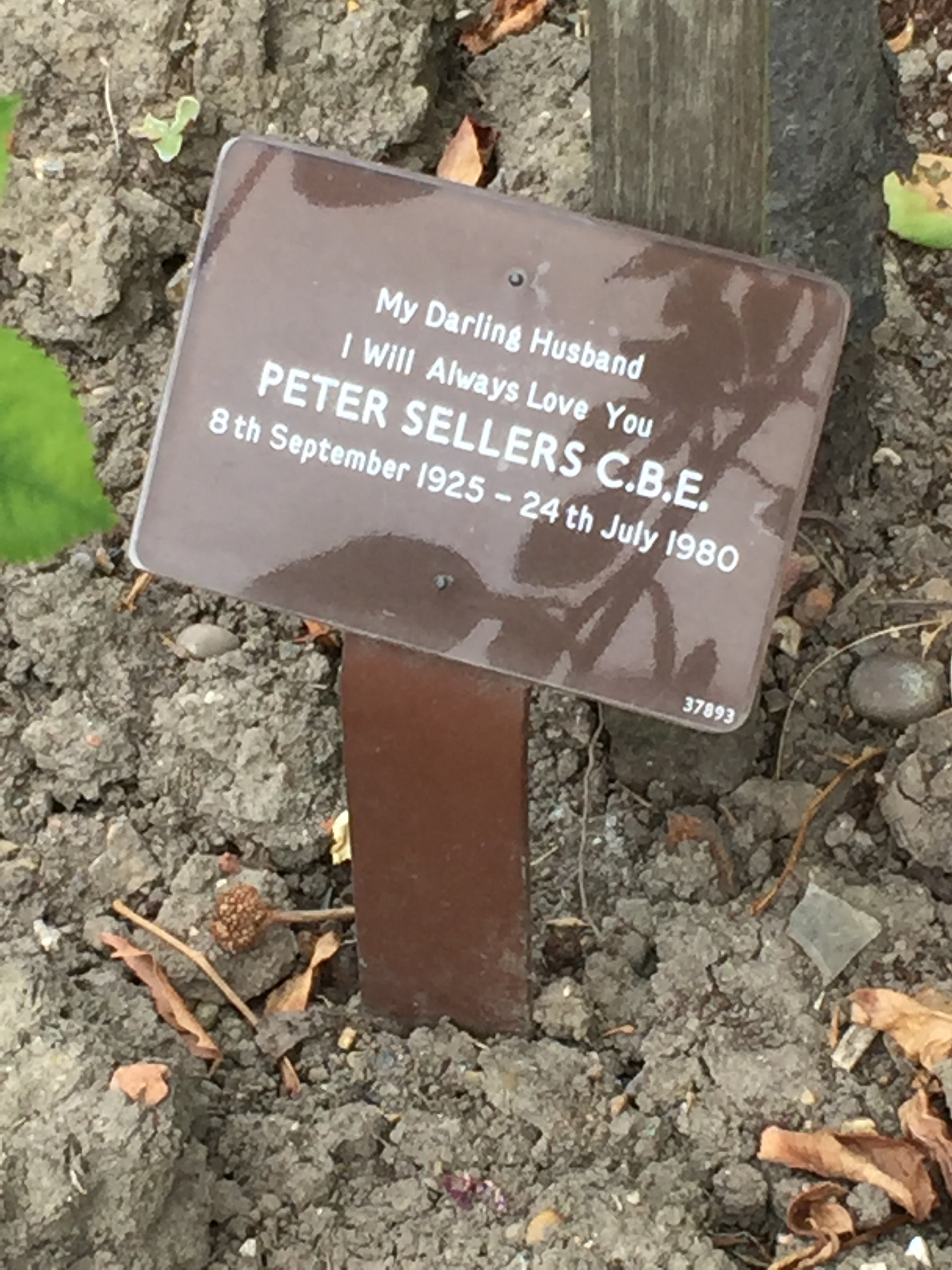 Peter Sellers's grave