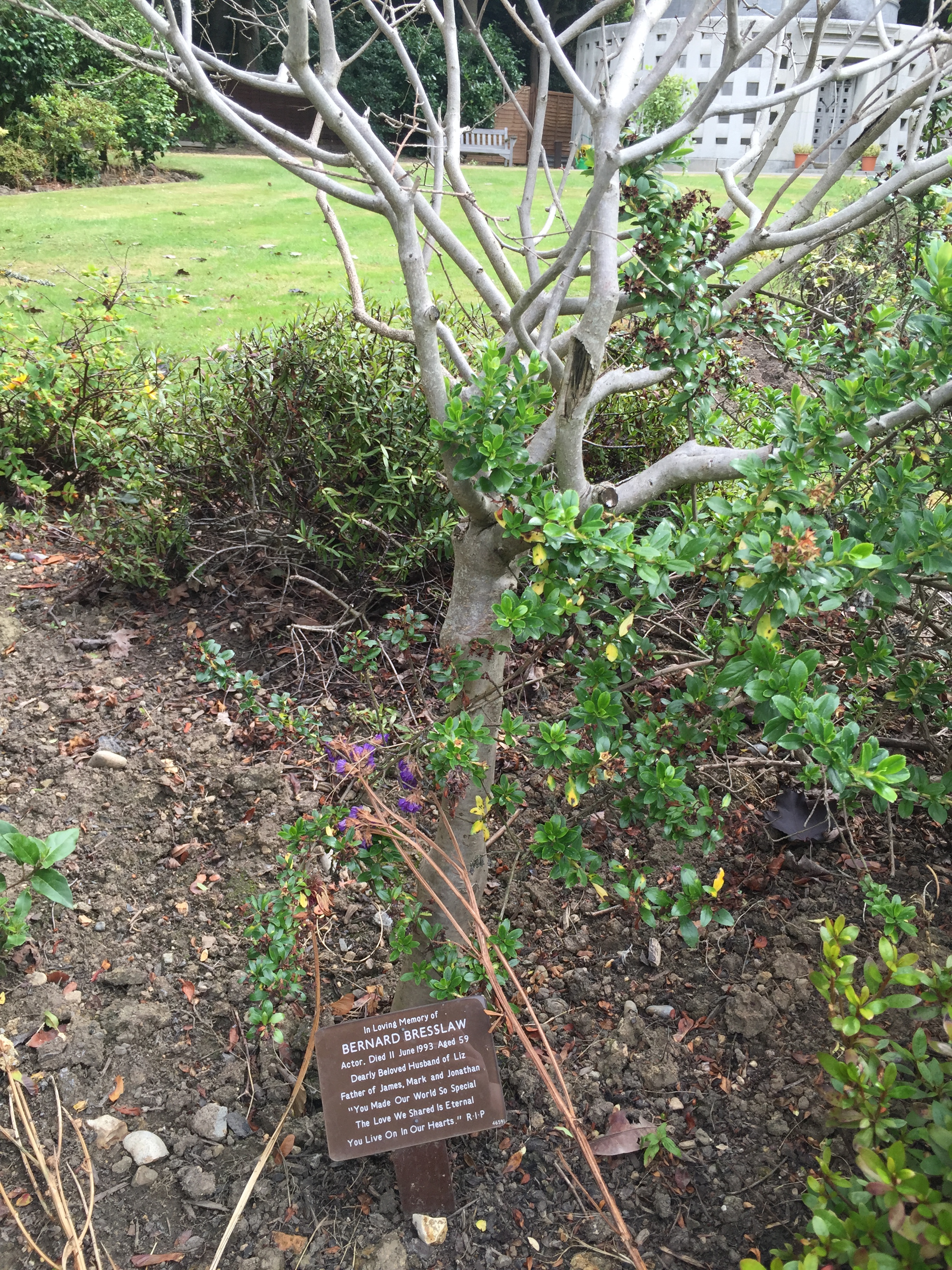 Bernard Bresslaw's grave