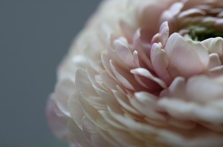 Copyright Deborah Fletcher