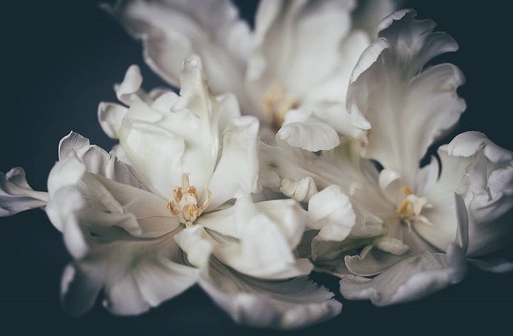 Copyright Deborah Fletcher