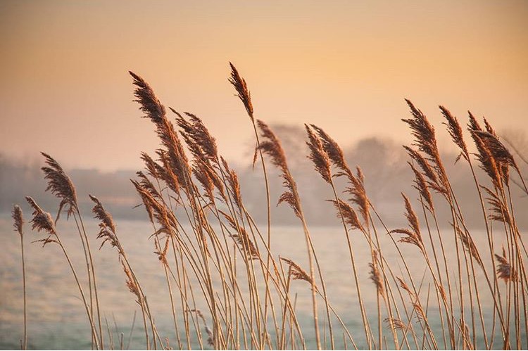 Copyright Deborah Fletcher