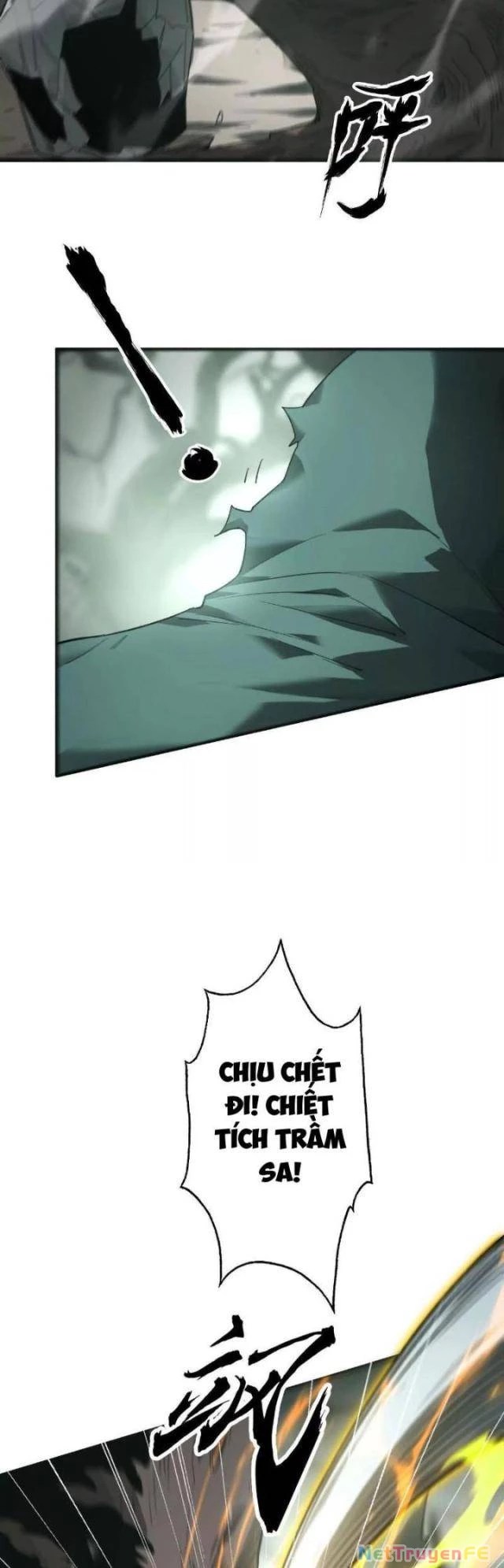 page_13.webp