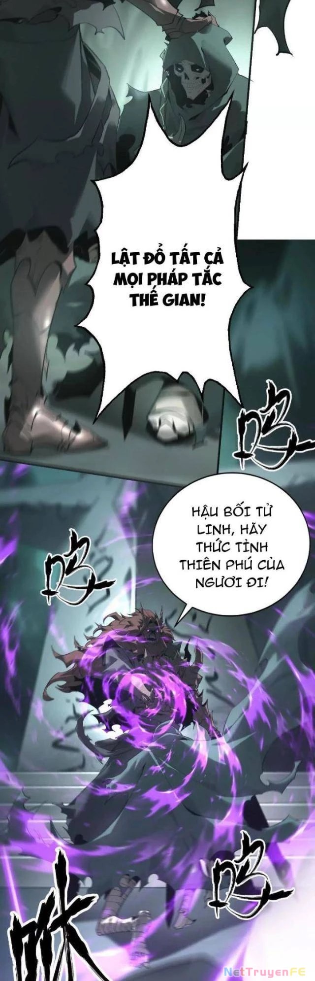 page_11.webp