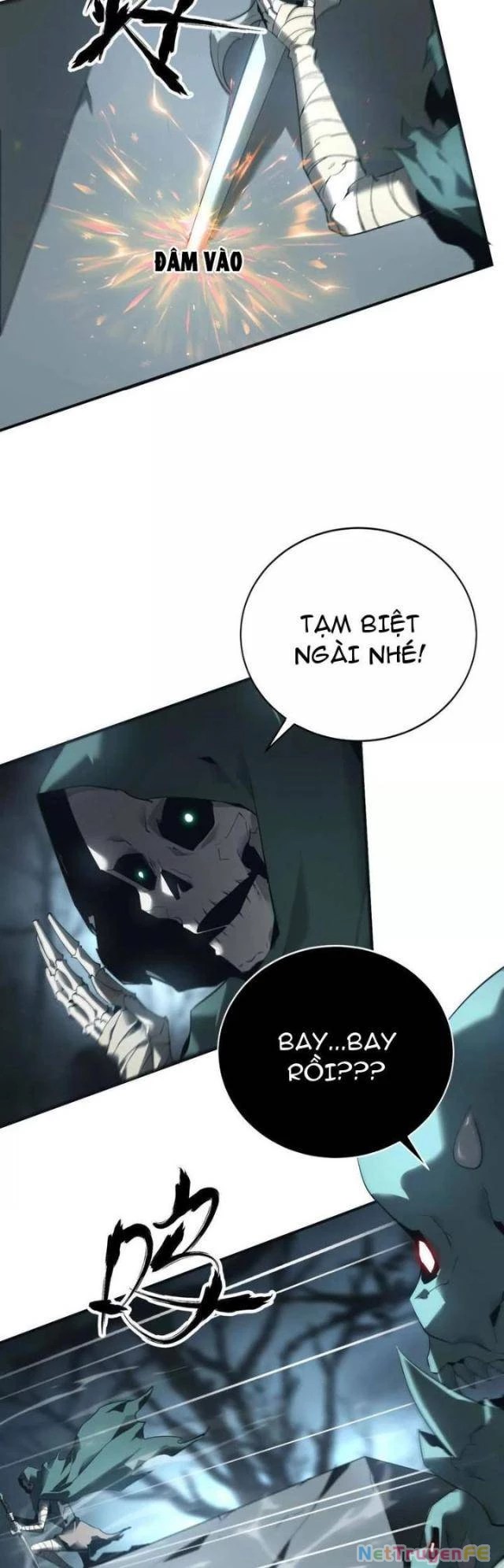 page_11.webp