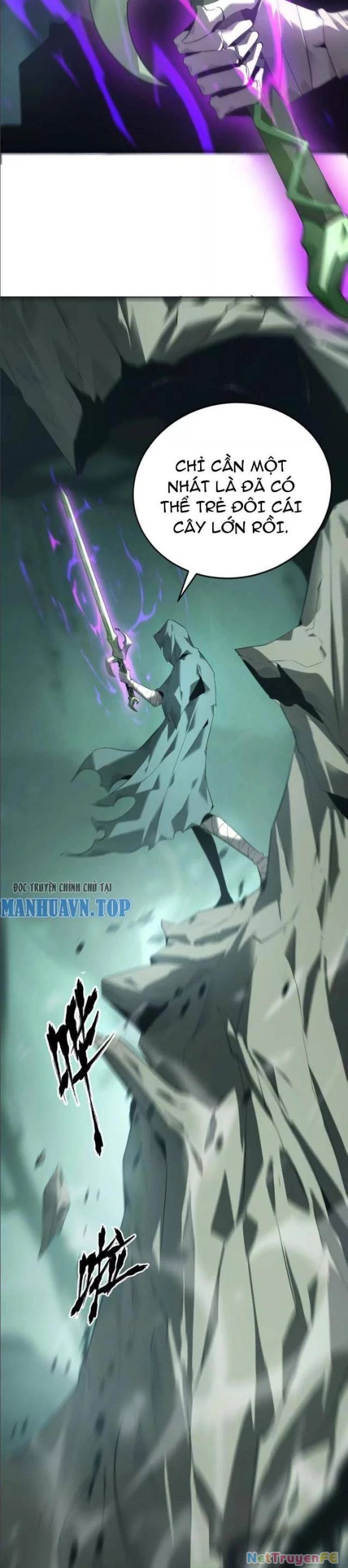 page_16.webp