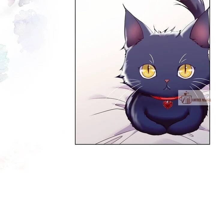 page_52.jpeg