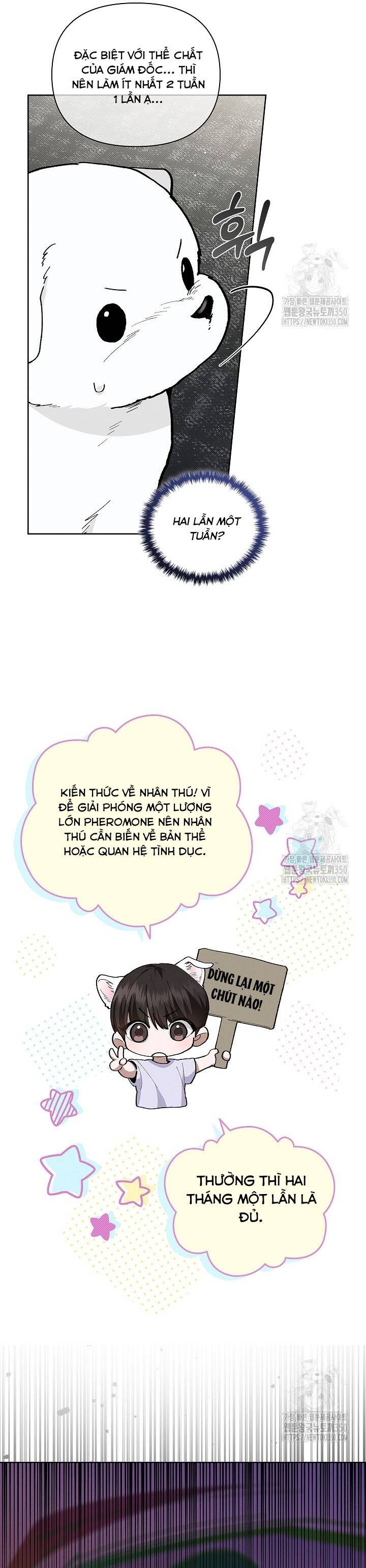 page_19.jpeg