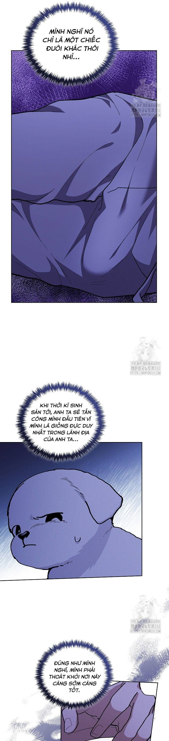page_25.jpeg