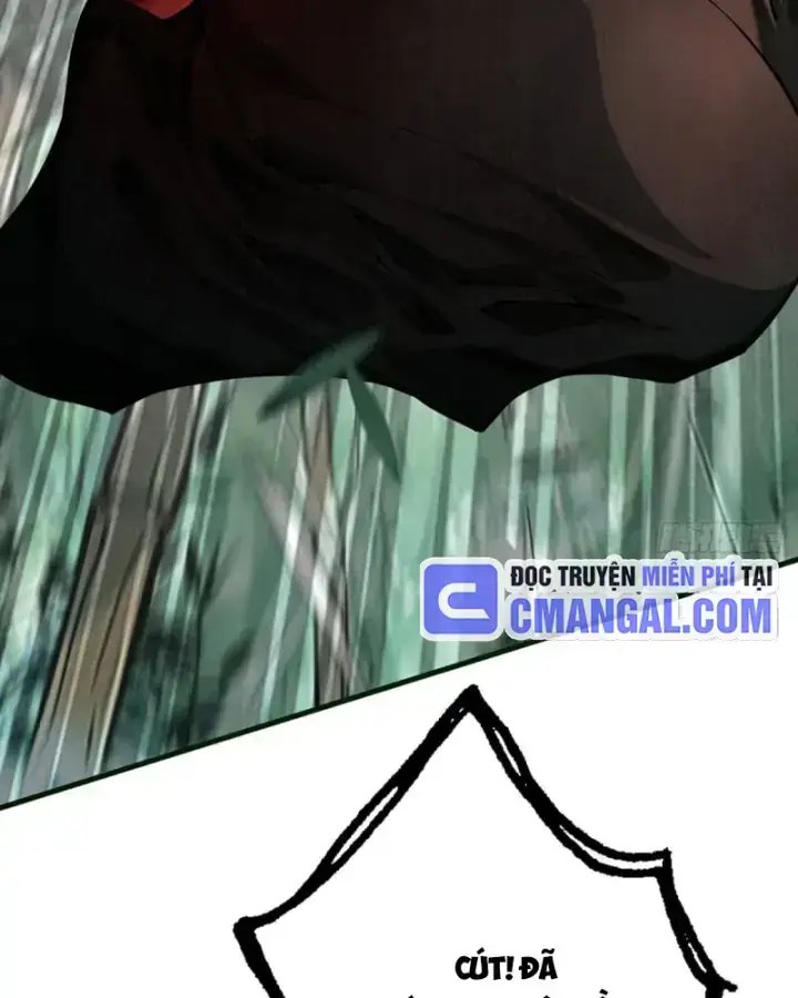 page_24.webp