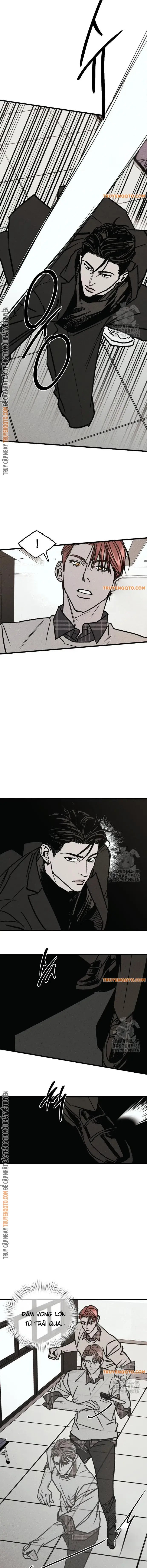 page_17.webp