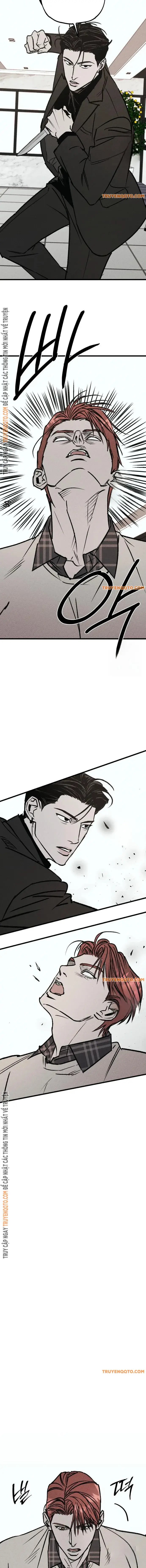page_19.webp