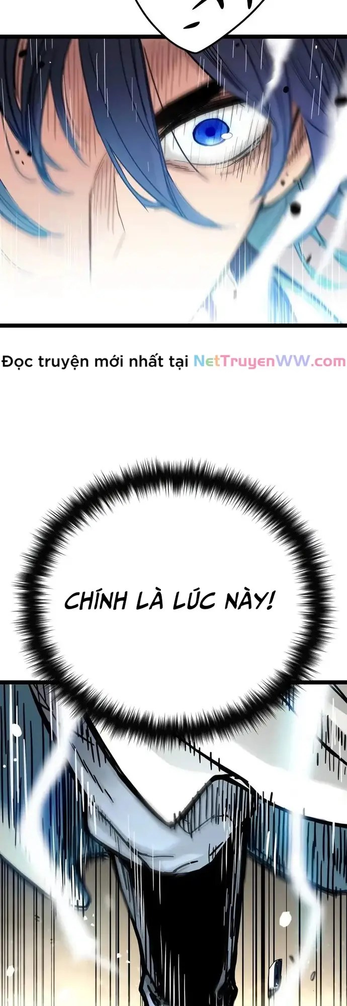 page_15.webp
