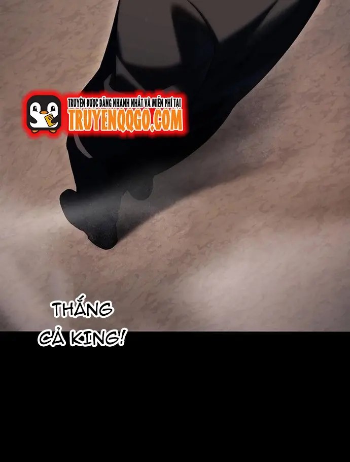 page_14.webp