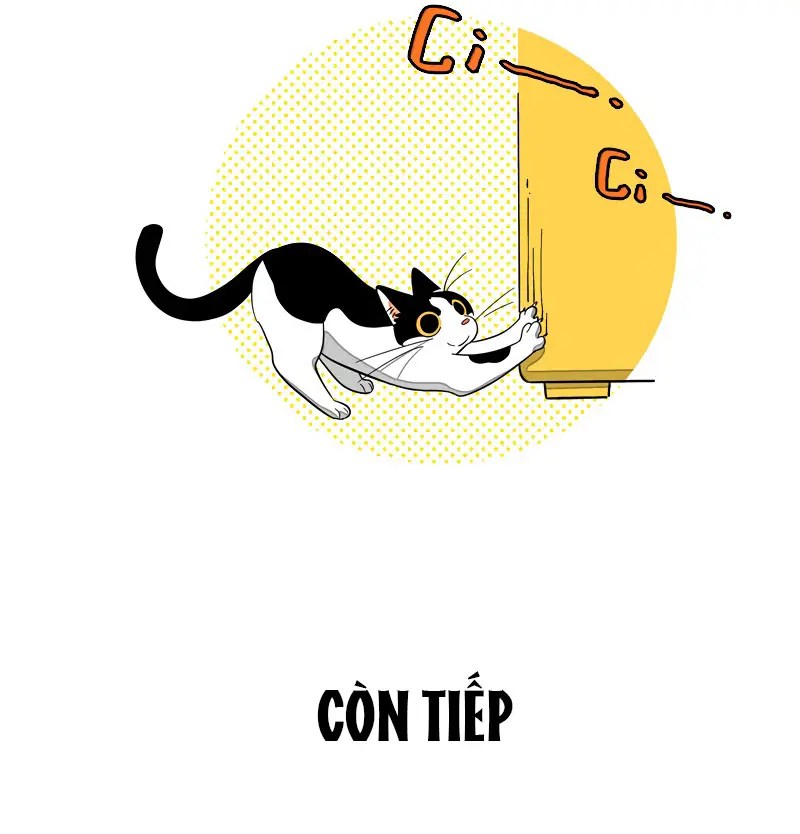 page_7.webp