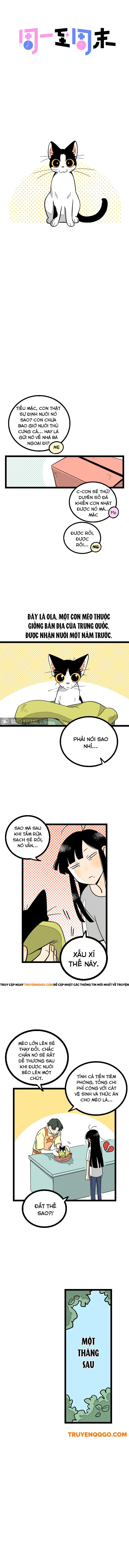 page_1.webp