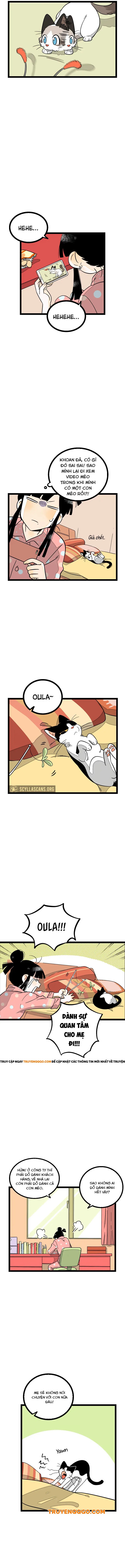 page_2.webp