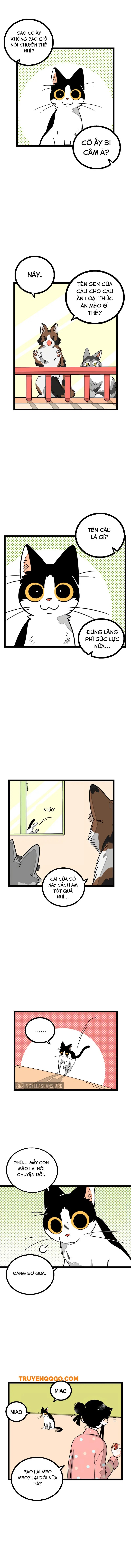 page_4.webp