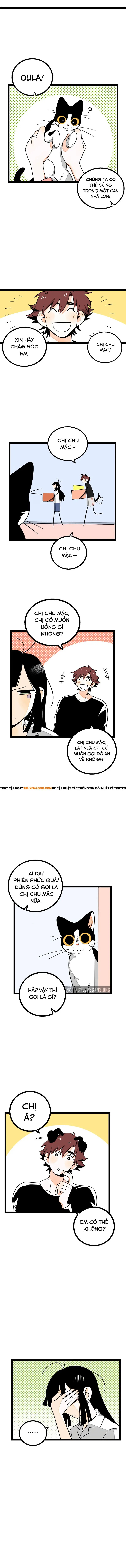 page_6.webp