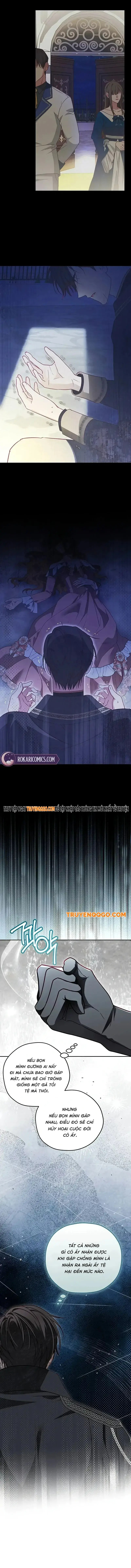 page_11.webp