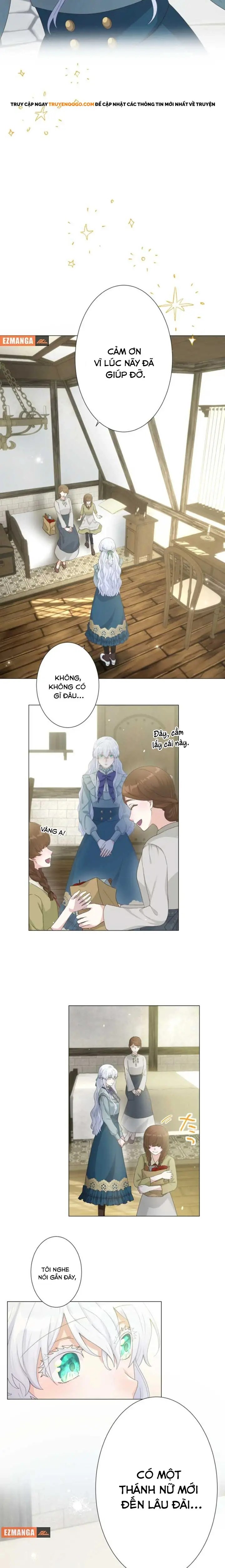page_13.webp