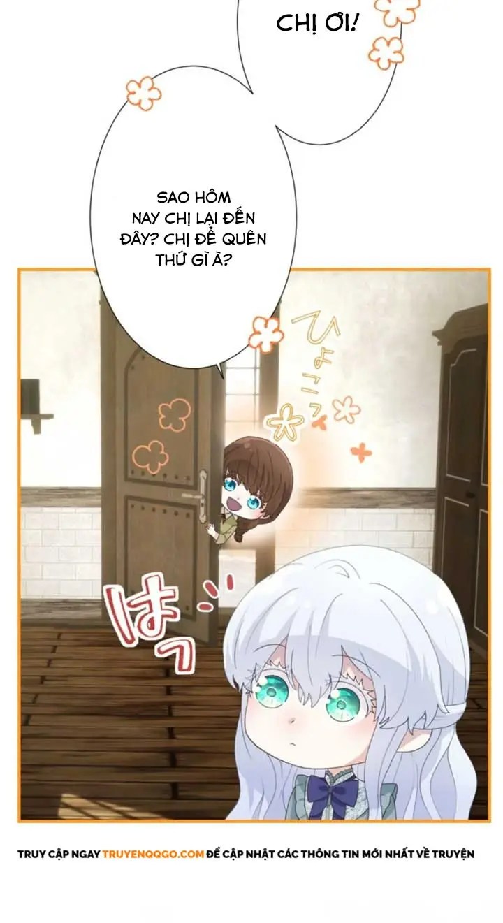 page_17.webp
