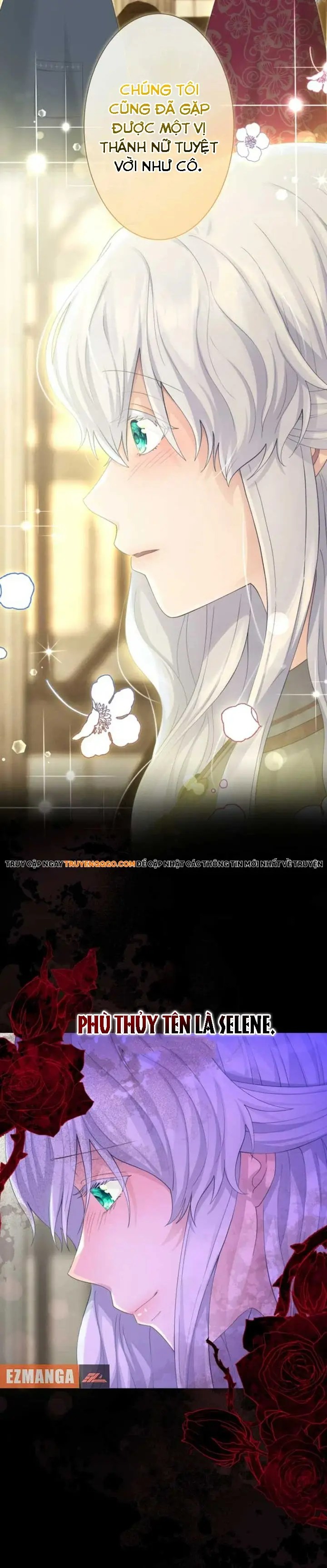 page_17.webp