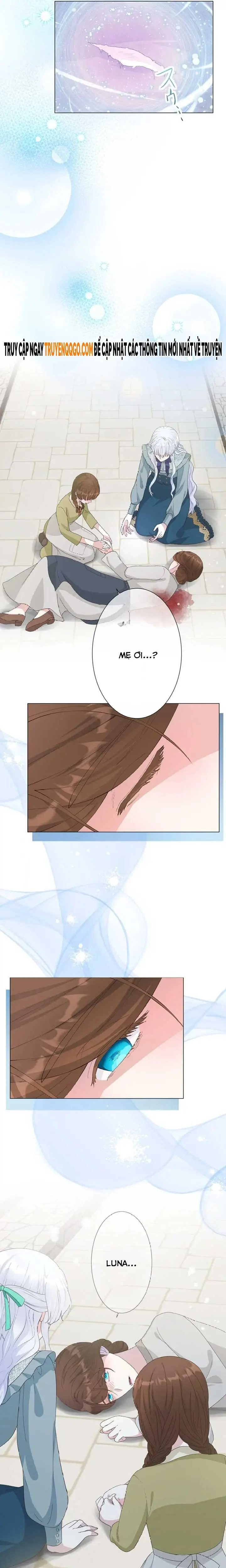 page_17.webp