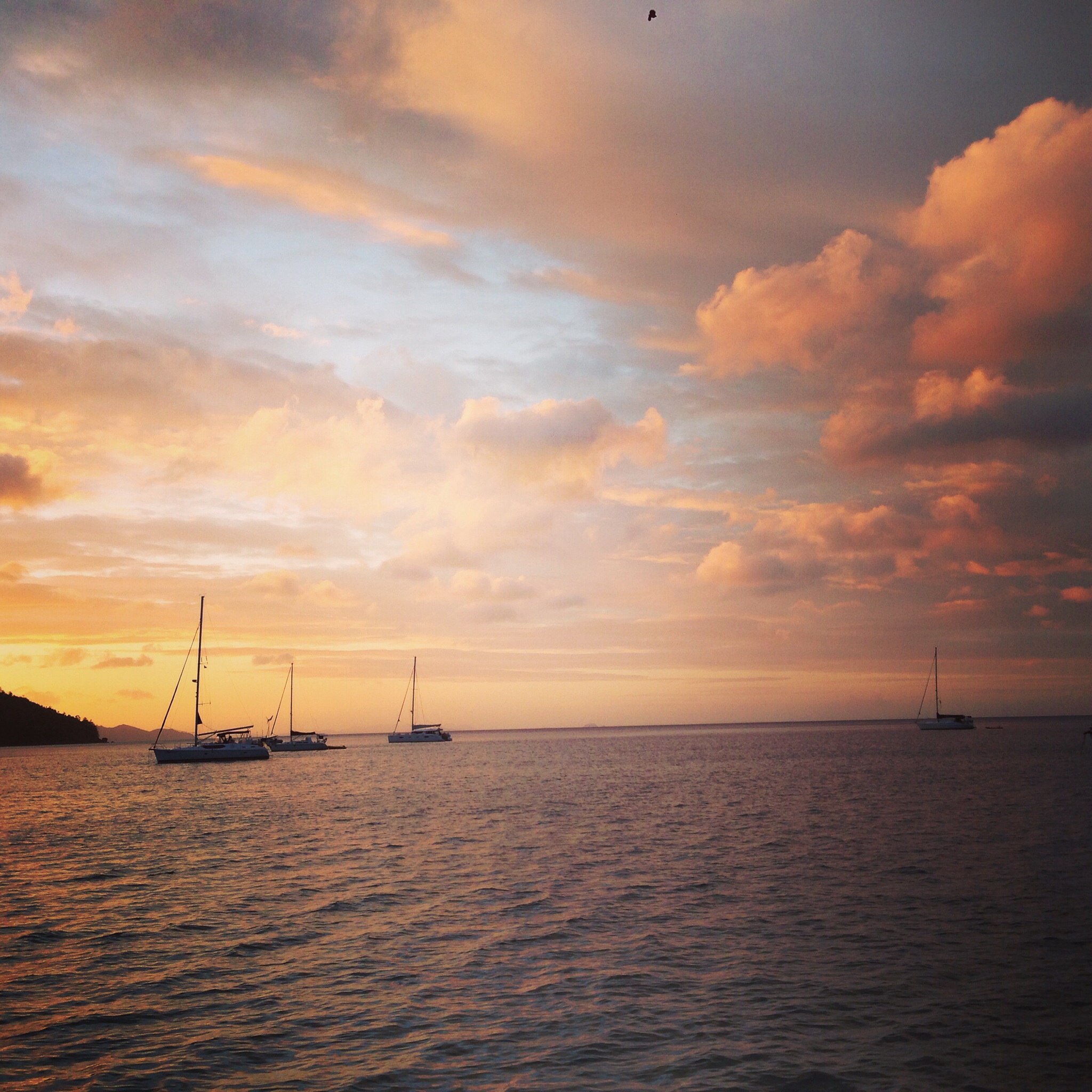 Cid Island, Whitsunday's. Stunning night with great photographs.