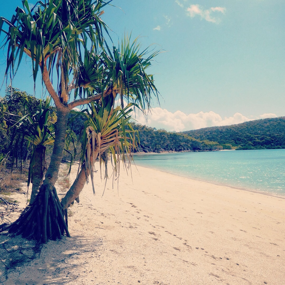Our first stop south, Shaw Island.